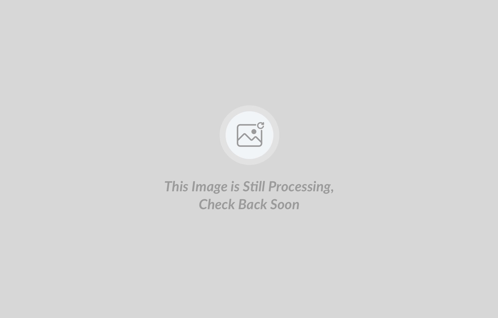 Image Processing - Check back later